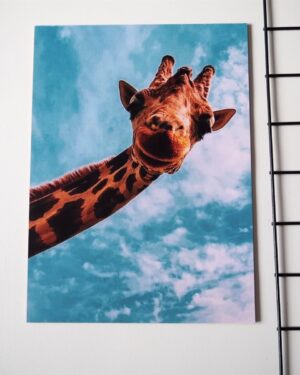 Giraffe Poster